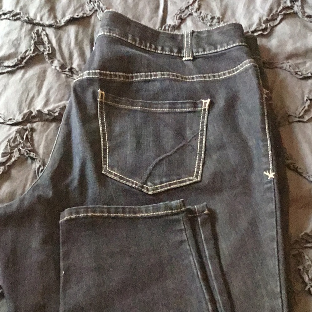 Lane Bryant Genius Fit Skinny Jean